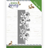 Daffodil border