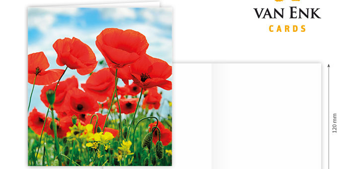 Leuke, vierkante kaart met bloem. Kaart is voorzien van een bijpassende, gekleurde envelop, heeft geen tekst en een blanco binnenzijde.